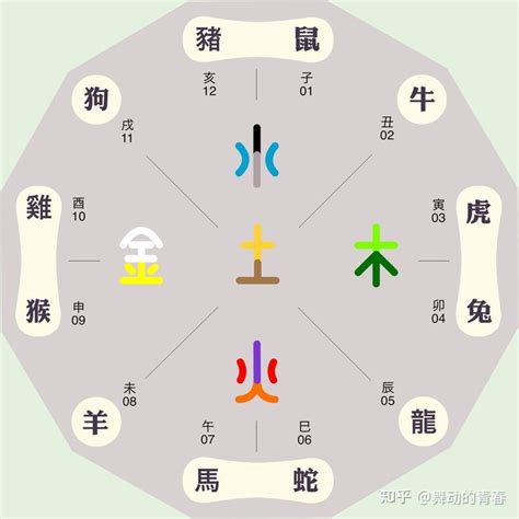 生肖本命色|五行顏色生肖：12生肖五行本命色和相生色，讓你的運。